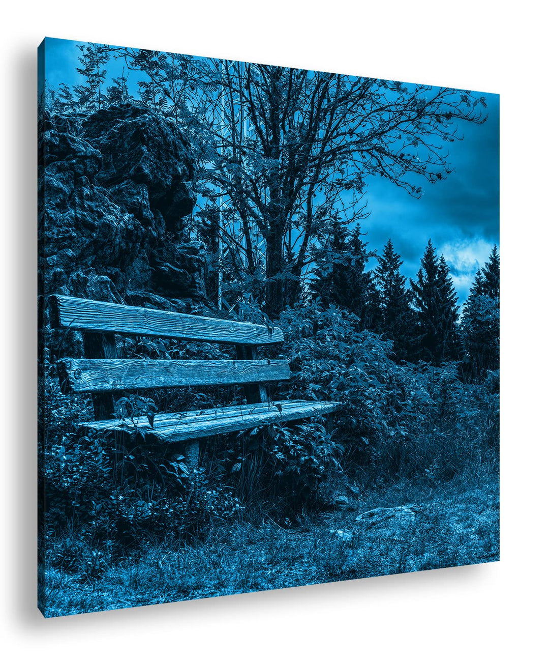 deyoli einsame Bank am Waldrand Format: 70x70 Effekt: Monocrome Blau als Leinwandbild, Motiv fertig