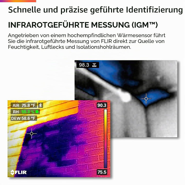FLIR MR277 Materialfeuchtemessgerät integrierte Wärmebildkamera, Temperaturmessung, Berührungslose I