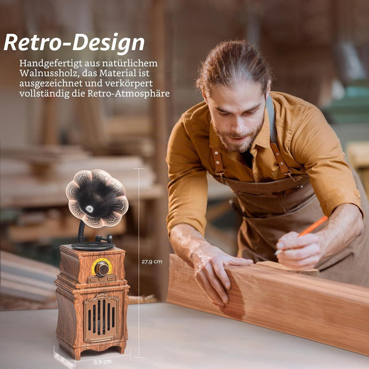 COLSUR Retro Radio Bluetooth 5.3 Lautsprecher Tragbarer Vintage Lautsprecher mit AM FM Radio Wiedera