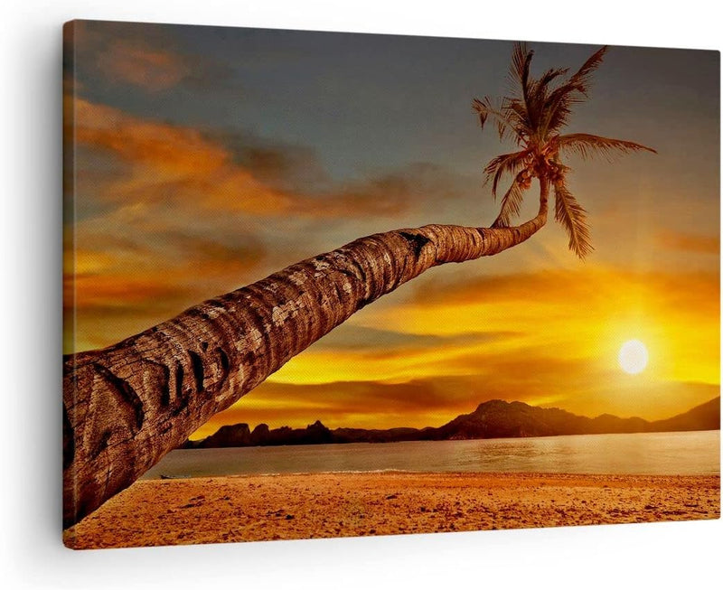 ARTTOR Bilder auf Leinwand Palme Landschaft Sonne Leinwandbild 70x50cm Wandbilder Dekoration Wohnzim