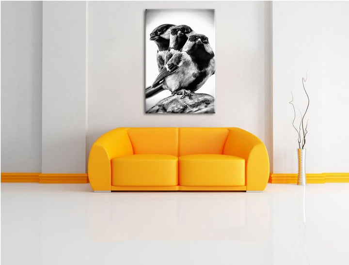 Pixxprint schöne Blaumeisen / 100x70cm Leinwandbild bespannt auf Holzrahmen/Wandbild Kunstdruck Deko