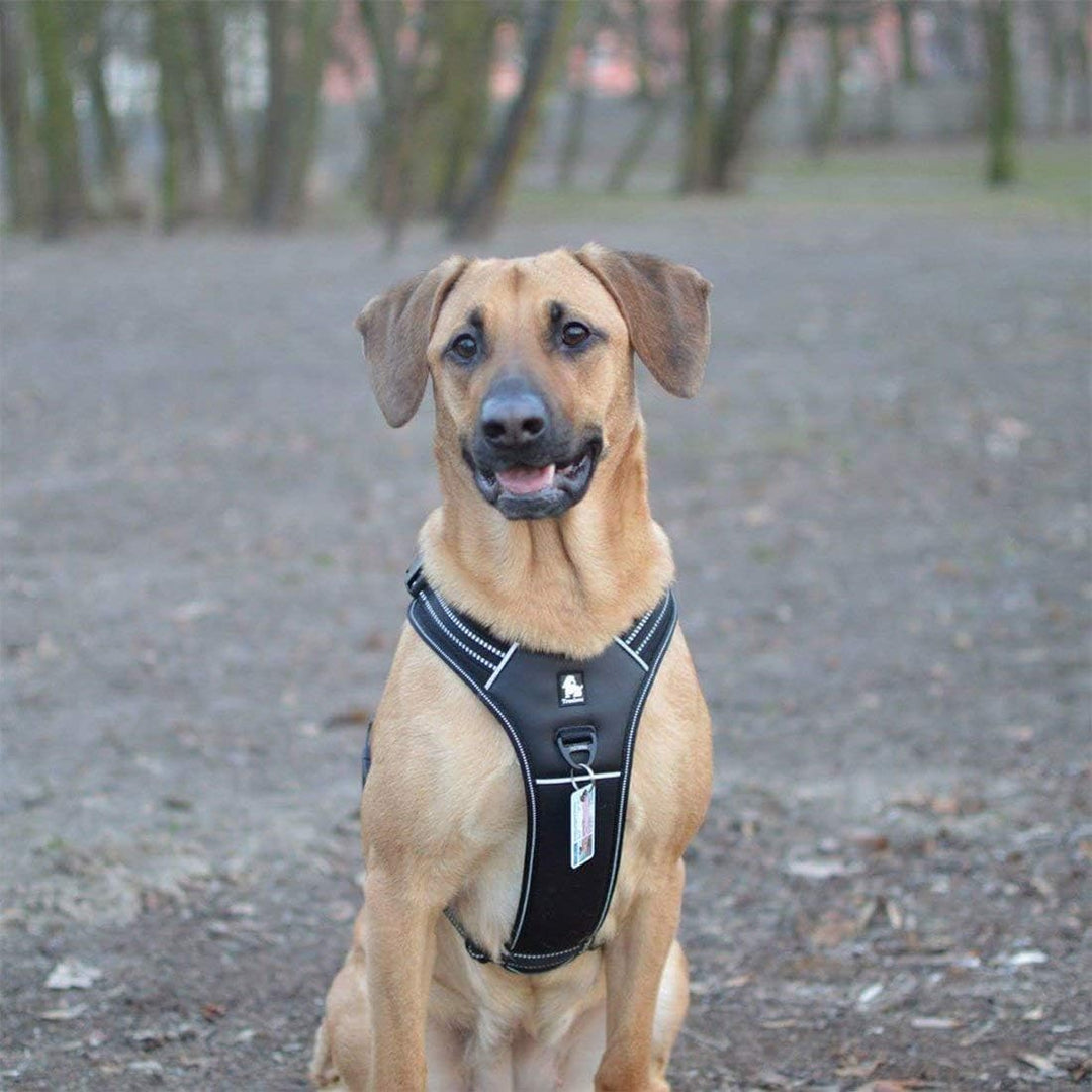 Truelove TLH5551 verhindert Zerren Hundegeschirr mit Griff Weich Gepolstert Pet Hundegeschirr Weste,