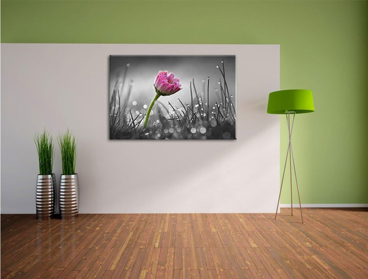 Pixxprint rosa Gänseblümchen im Gras als Leinwandbild/Grösse: 100x70 cm/Wandbild/Kunstdruck/fertig b