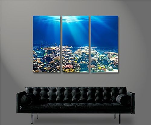 islandburner Bild Bilder auf Leinwand Unterwasser Tauchen Korallen Meerwasser 3p XXL Poster Leinwand