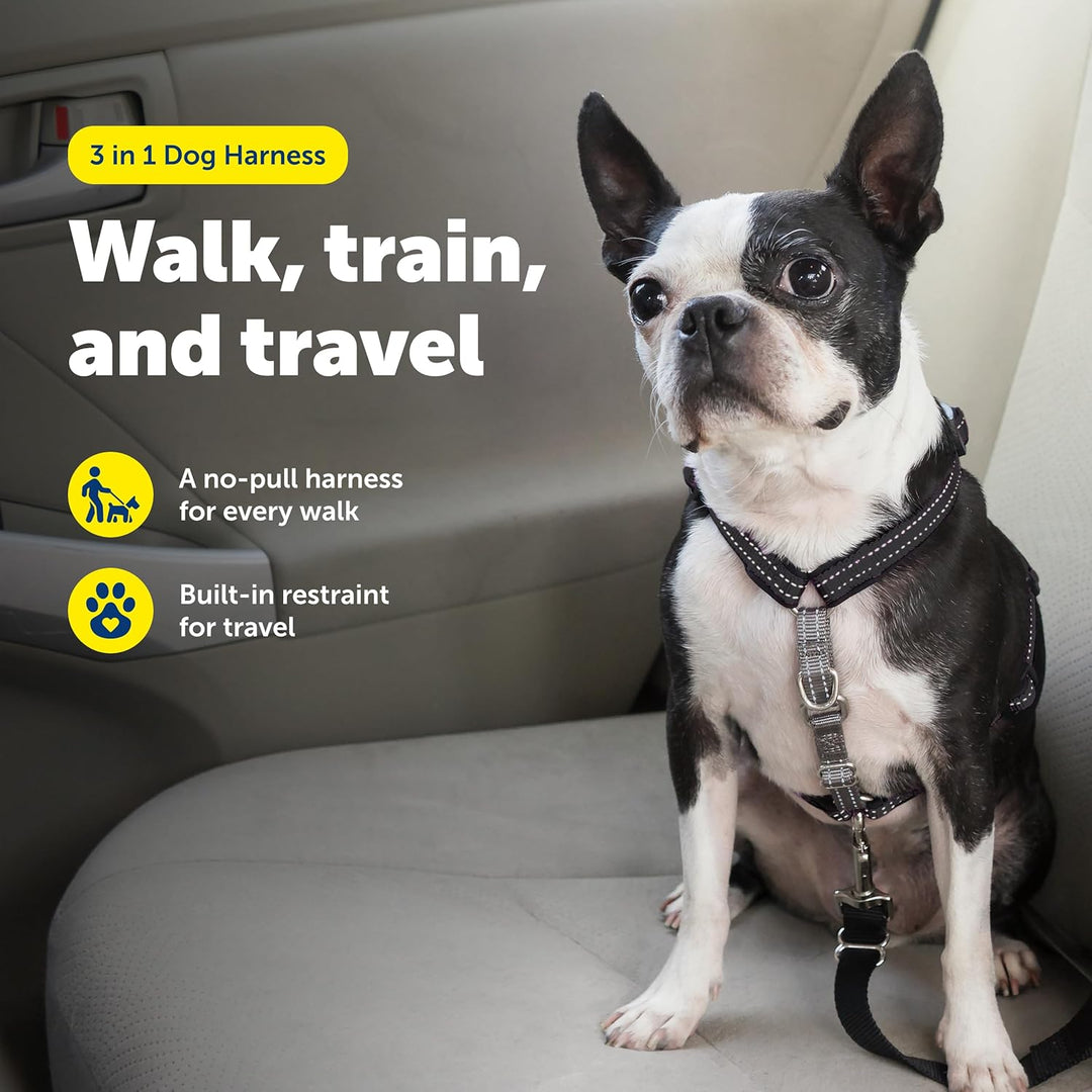 PetSafe 3-in-1-Geschirr, Easy Walk Hundegeschirrs, voll verstellbar, kein Ziehen, Schwarz, Grösse XS