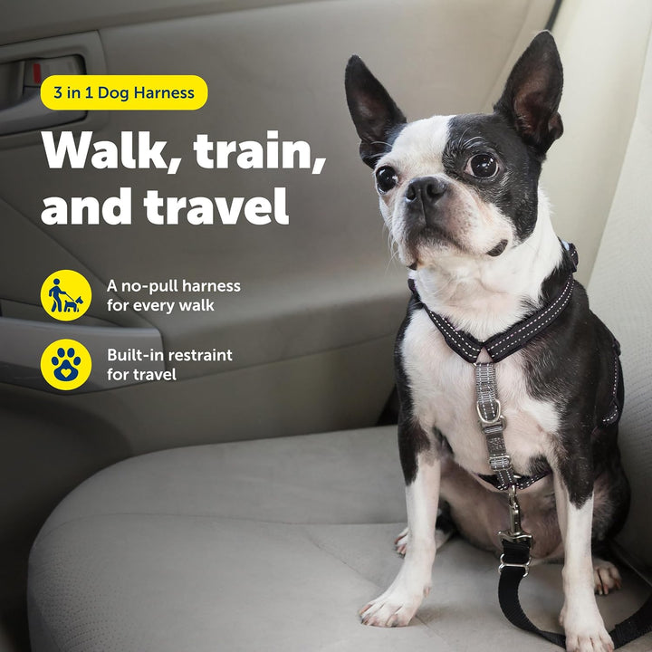 PetSafe 3-in-1-Geschirr, Easy Walk Hundegeschirrs, voll verstellbar, kein Ziehen, Schwarz, Grösse XS