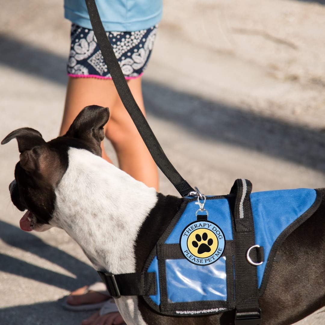 Working Service Dog Anhänger für Hundeweste, Hundegeschirr, Halsband, Leine oder Tragetasche, zum An