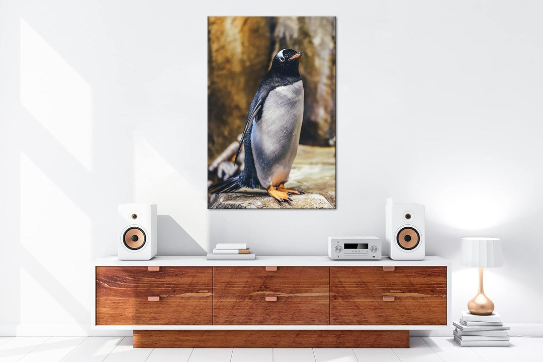 deyoli niedlicher Pinguin Format: 80x60 als Leinwand, Motiv fertig gerahmt auf Echtholzrahmen, Hochw