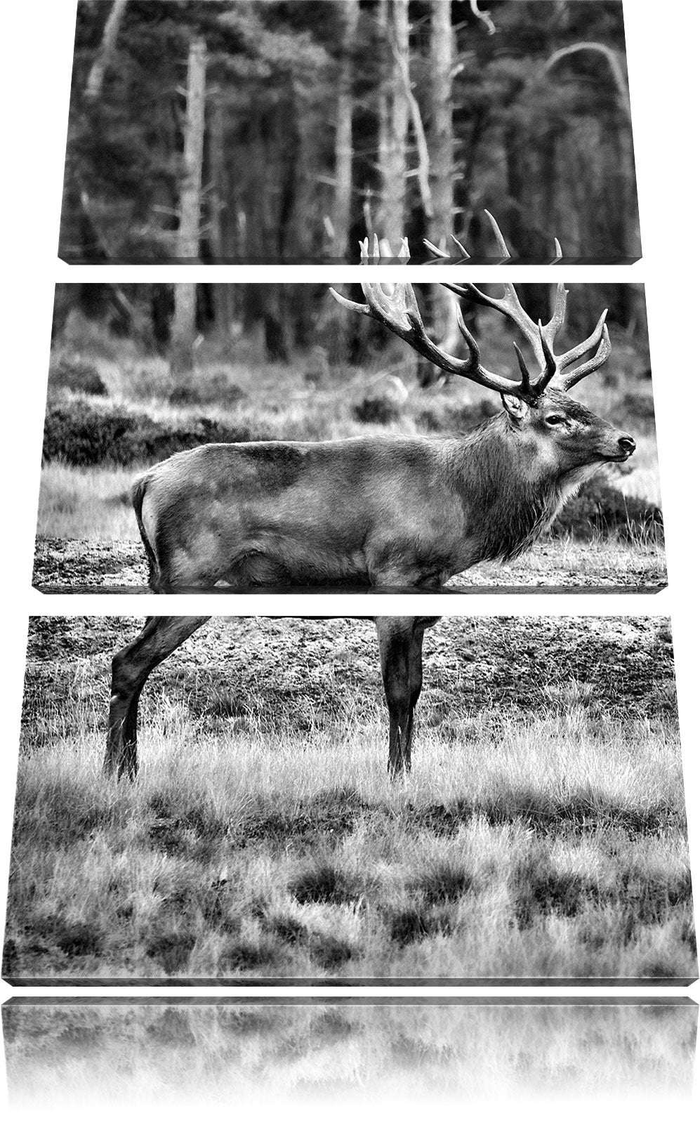 Pixxprint Monocrome, Hirschfamilie auf herbstlicher Waldlichtung 3-Teiler Leinwandbild 120x80 Bild a