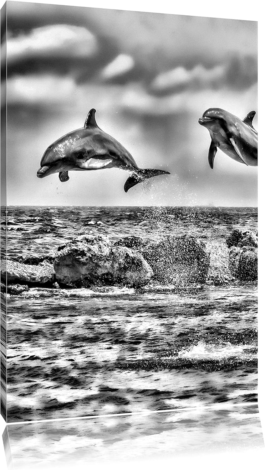 Pixxprint springende Delphine / 100x70cm Leinwandbild bespannt auf Holzrahmen/Wandbild Kunstdruck De