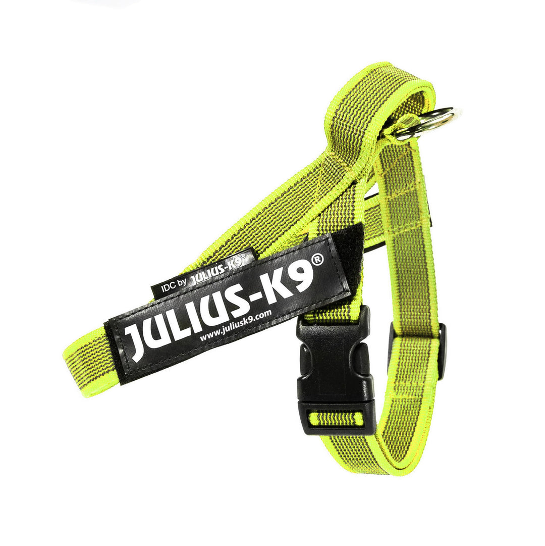Julius-K9, IDC® Color & Gray® Beltgeschirr neon-grau S / Mini, neon-grau S / Mini