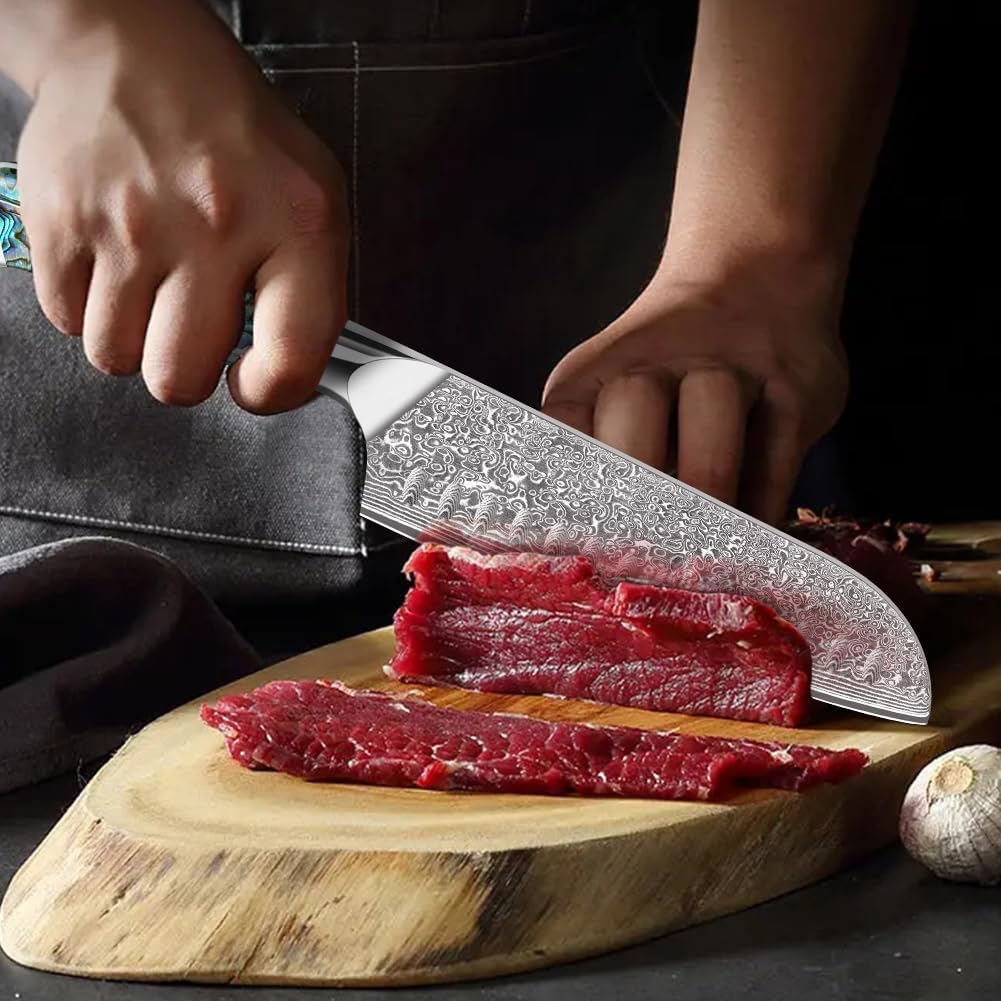 Home Safety Damastmesser Santoku Messer mit extrem Scharf 18cm Klinge aus 67 Lagen VG-10 Damaststahl