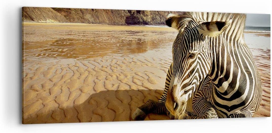 Wandbilder Dekoration Wohnzimmer Zebra Strand Landschaft Panorama Bilder auf Leinwand 120x50cm Leinw