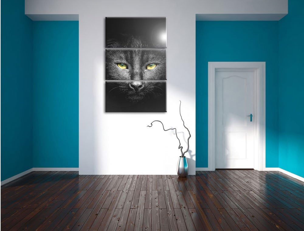 Pixxprint Katzenkopf mit düsterem Hintergrund schwarz/weiss als Leinwandbild/Grösse: 3 Teilig (120x8