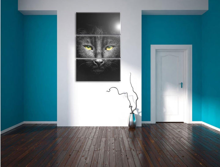 Pixxprint Katzenkopf mit düsterem Hintergrund schwarz/weiss als Leinwandbild/Grösse: 3 Teilig (120x8