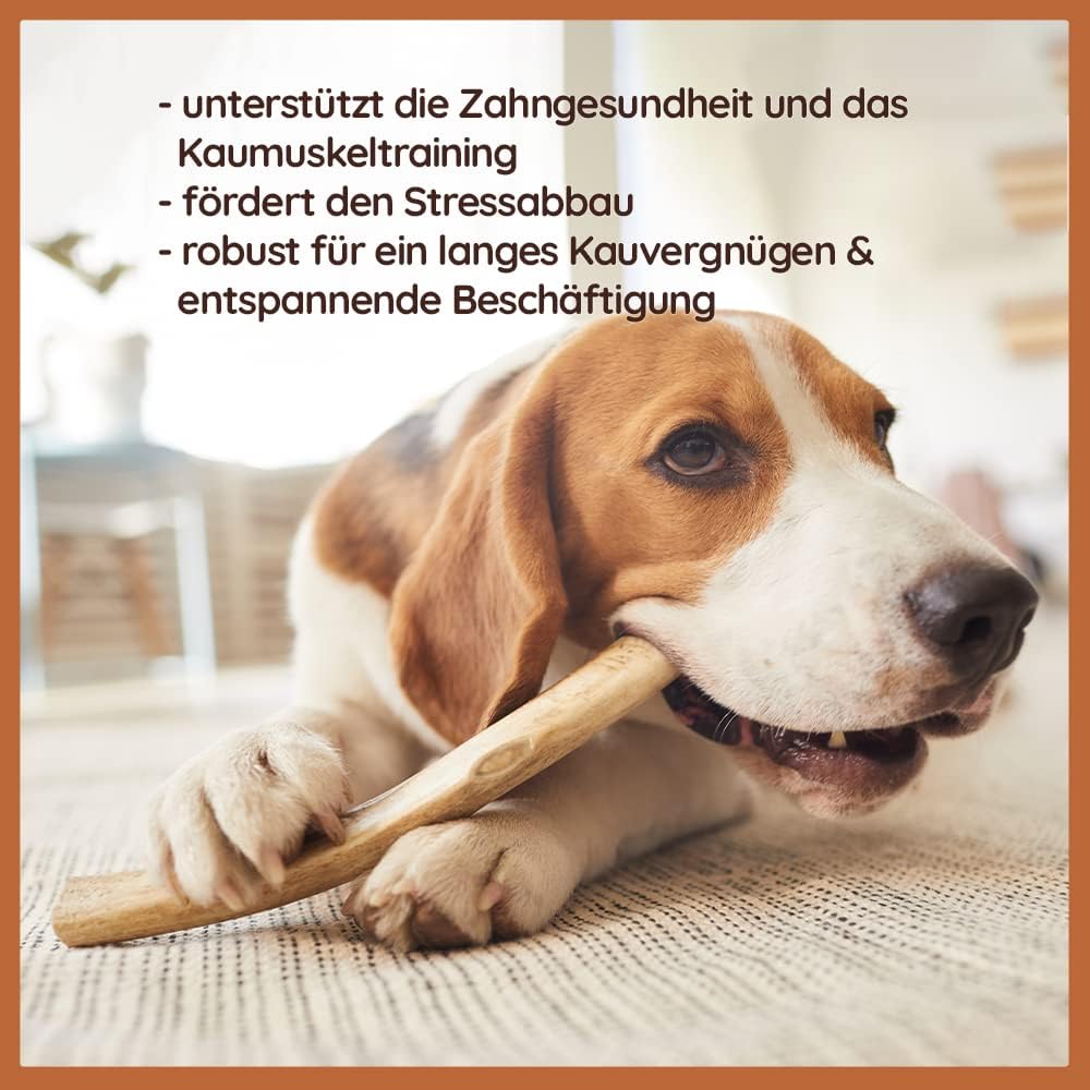 Wildfang® halbe Kaustange vom Rothirsch Geweih Hunde Kausnack | Abwurfstange aus EU | Zahnpflege | H