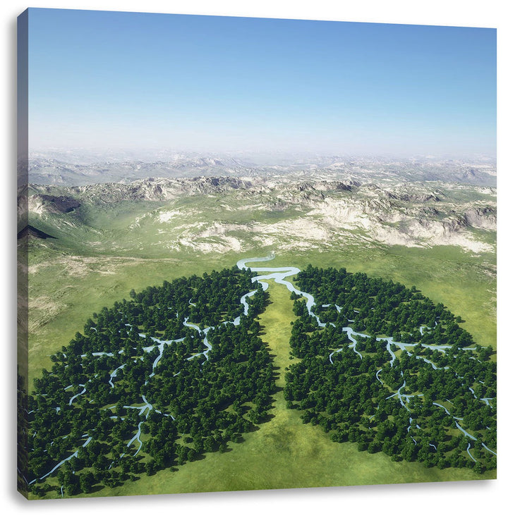 Grüne Lunge der Natur, Format: 70x70 auf Leinwand, XXL riesige Bilder fertig gerahmt mit Keilrahmen,