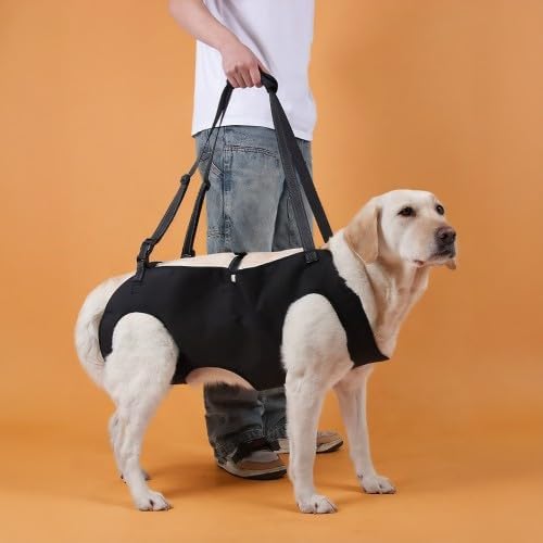 Hunde Tragehilfe, Tragehilfe Hund Treppe Verstellbare Gehhilfe für Hunde, Hundeliftgeschirr für Hint