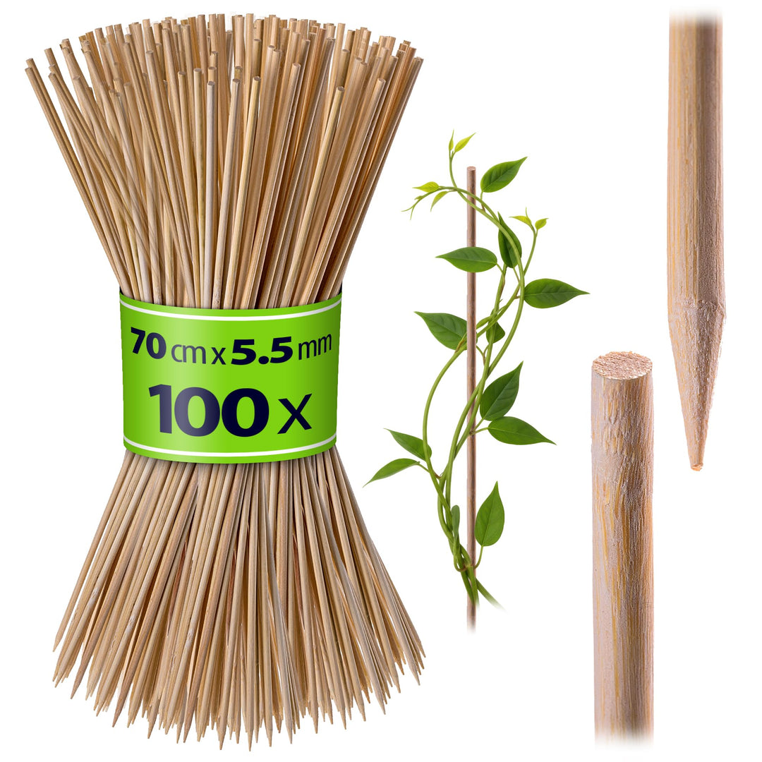 KADAX Bambusstäbe 70cm x 5.5mm, 100er Set, Pflanzstäbe aus Bambus, Holzstäbe als Pflanzenstütze für