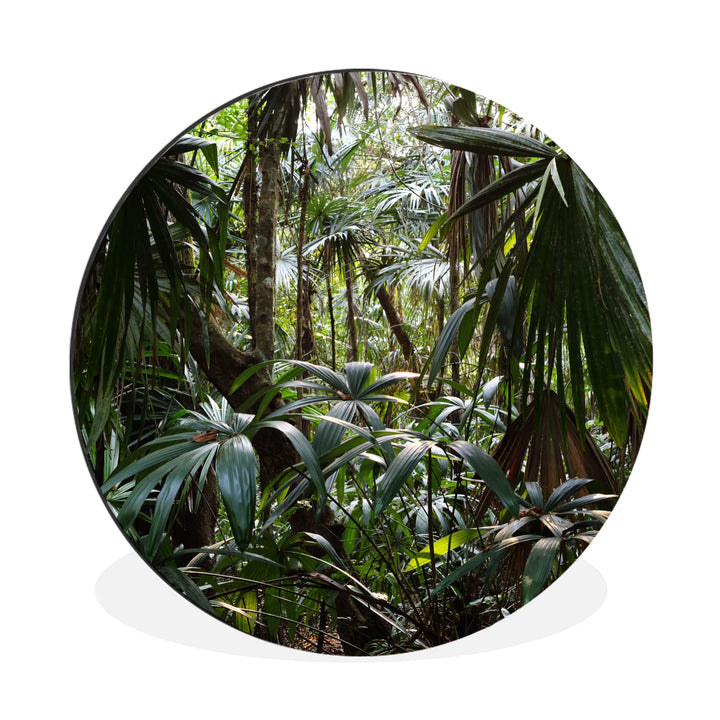 MuchoWow Wandbild Rund Wanddeko Deko Wohnzimmer Bilder 90x90 cm Pflanzen im Regenwald, 90x90 cm
