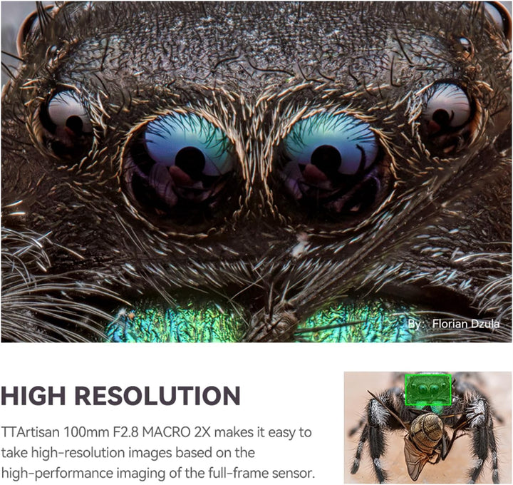 TTARTISAN 100 mm f/2.8 Makroobjektiv für Canon RF Mount 2X Vergrösserung Vollformat Manueller Fokus