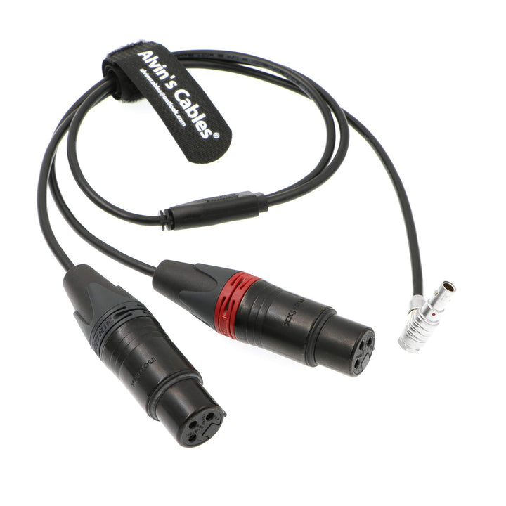 Alvin's Cables Zwei XLR 3 Pin Buchse auf 5 Pin Stecker Audio Eingangs Kabel für Arri Alexa Mini 70CM