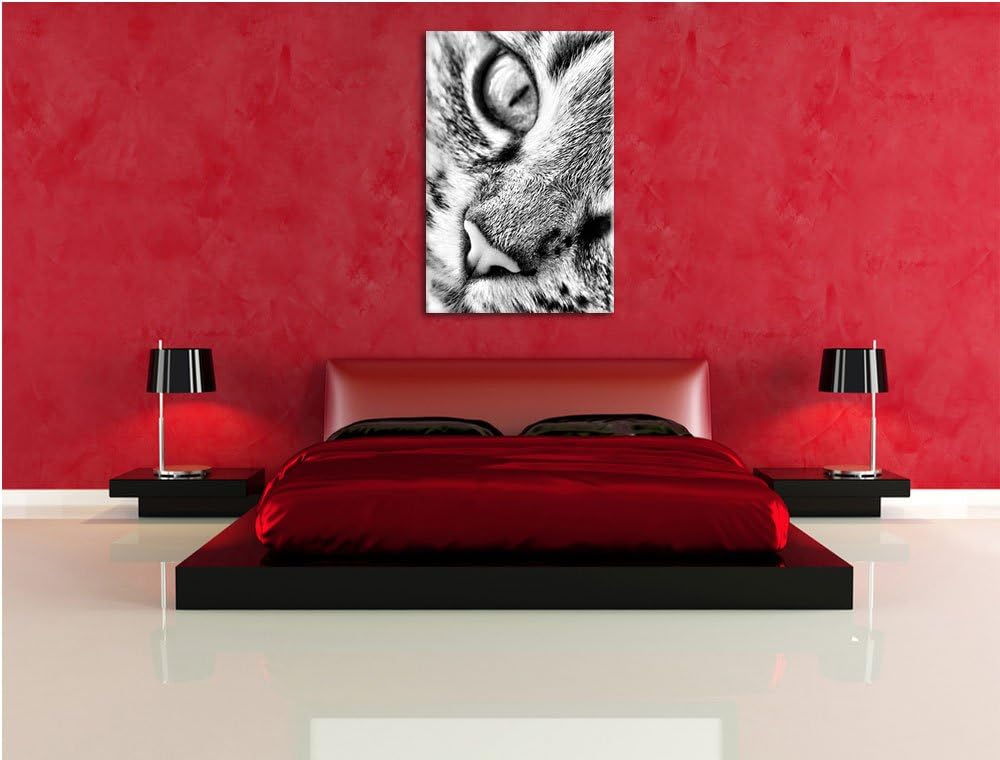 Pixxprint Grosse Katzenaugen / 100x70cm Leinwandbild bespannt auf Holzrahmen/Wandbild Kunstdruck Dek