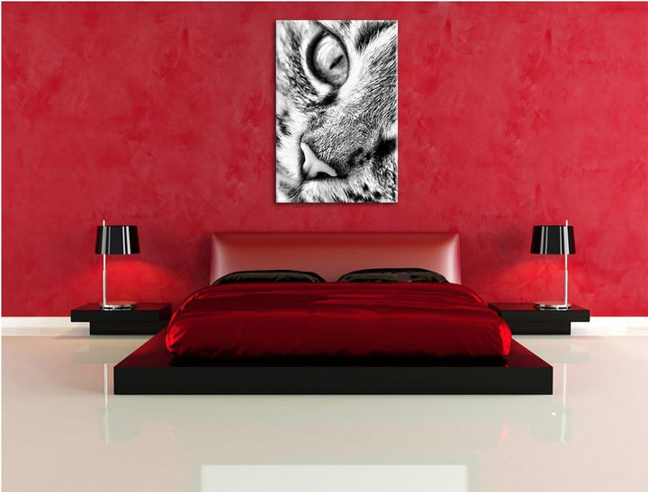 Pixxprint Grosse Katzenaugen / 100x70cm Leinwandbild bespannt auf Holzrahmen/Wandbild Kunstdruck Dek