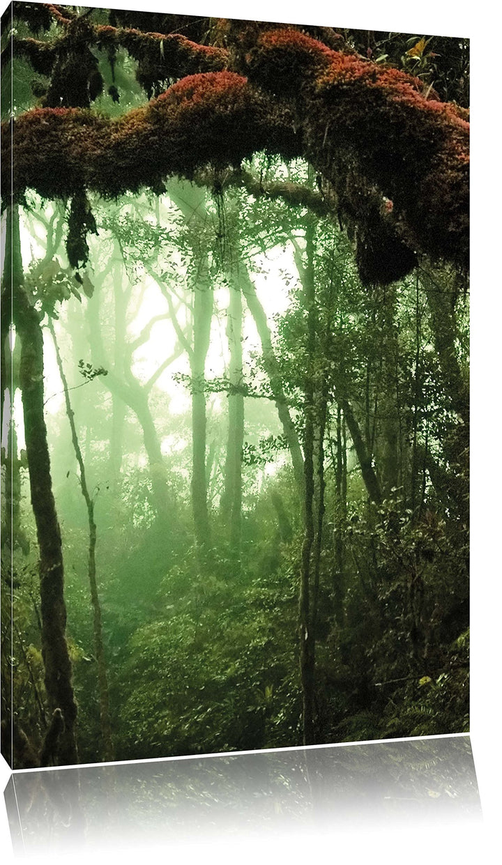 Pixxprint Regenwald Moos Lianen See / 100x70cm Leinwandbild bespannt auf Holzrahmen/Wandbild Kunstdr