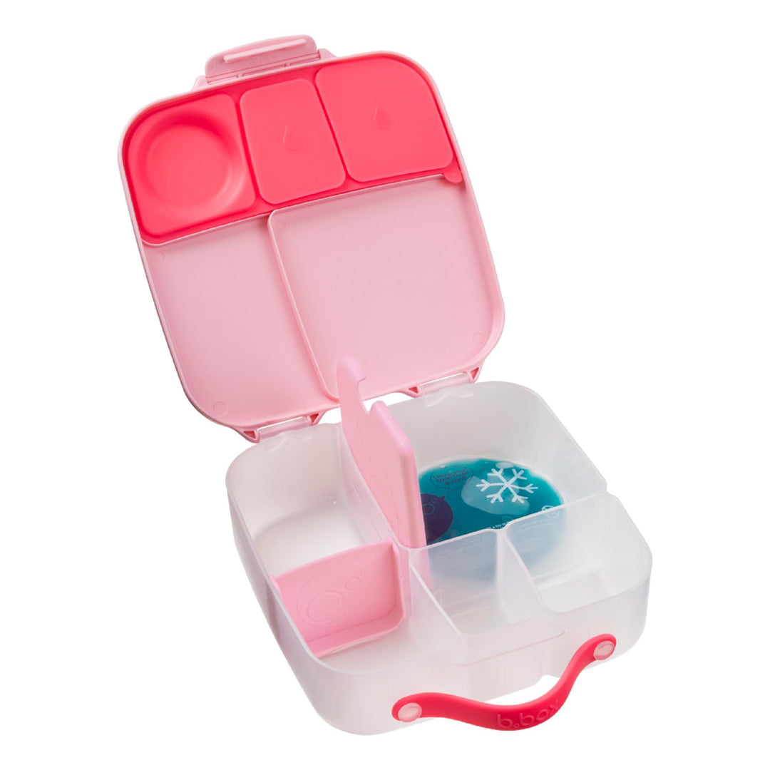 b.box Brotdose | Grosse Bento-Box mit 4 Fächern (2 auslaufsicher), herausnehmbarer Trenner, Gel-Kühl