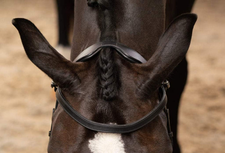 PresTeq FaySport Snaffle Bridle Schwarz Full Size, Schwarz Full Size