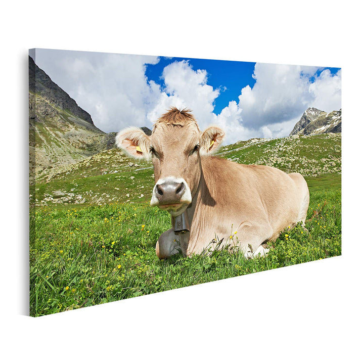 islandburner Bild auf Leinwand Braune Kuh Auf Grüner Grasweide Bilder Wandbilder Poster Leinwand 80x