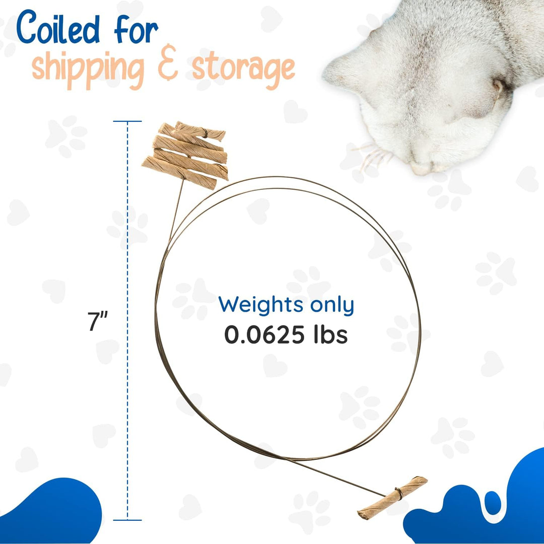 CAT DANCER Products CATD0101D Katzenspielzeug, Small Breeds (Packung mit 2) 1 Stück (Packung mit 2),