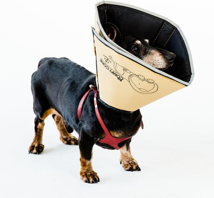 All Four Paws „The Comfy Cone“ Halskrause für Haustiere,Small Small hautfarben, Small hautfarben