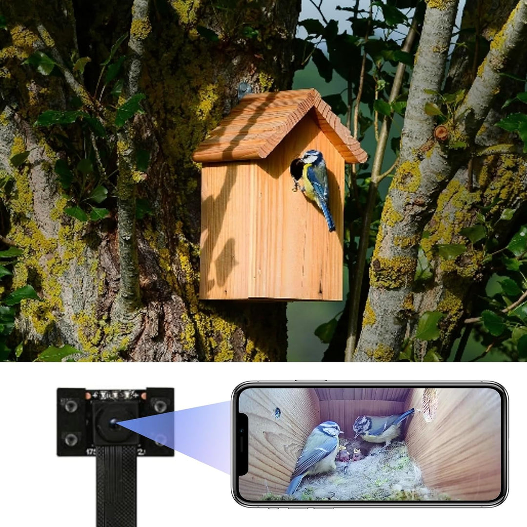 WIWACAM 4K Mini Kamera WLAN für Nistkästen, mit live übertragung auf Handy, Nachtsicht, Akku, SD-Kar