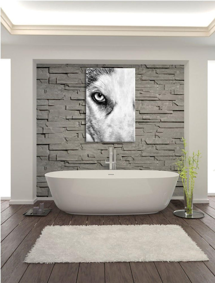 Pixxprint Husky mit Eisblauen Augen / 100x70cm Leinwandbild bespannt auf Holzrahmen/Wandbild Kunstdr