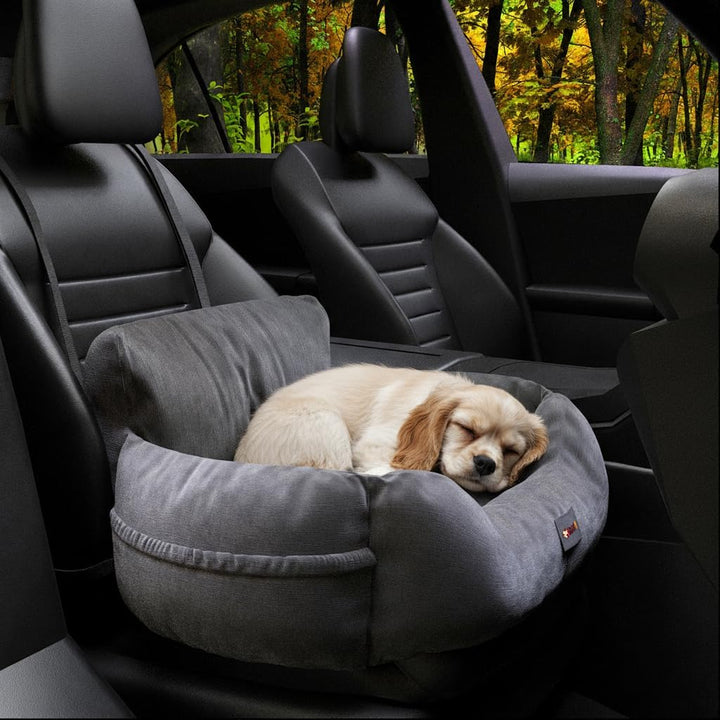 BENNO® Hundesitz Buddy Autositz für Hunde 55x45x30 cm anthrazit - Stabiler Autokorb mit rutschfestem