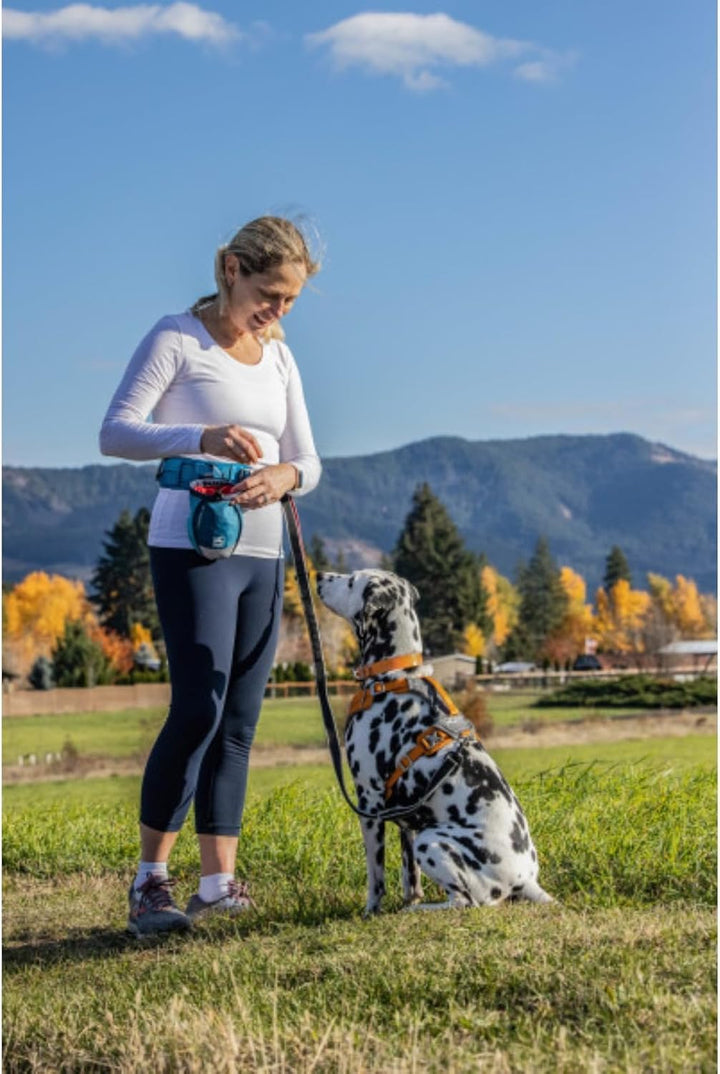 Kurgo Go Stuff-It Futterbeutel, Hält Hunde-Leckerlis frisch, Ideal für Hundetrainings, 11 cm breite
