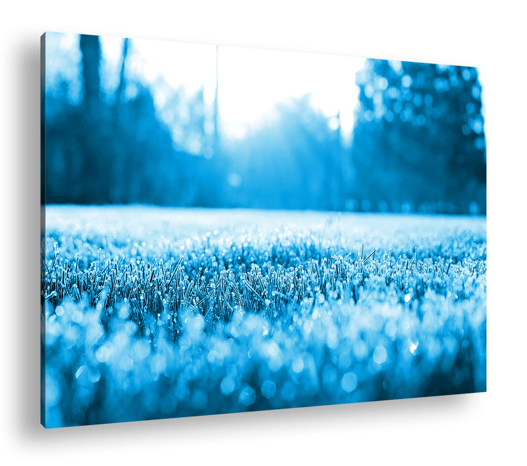 deyoli Morgenfrost auf einer Frühlingswiese Format 80x60 Effekt: Monocrome Blau als Leinwandbild, Mo