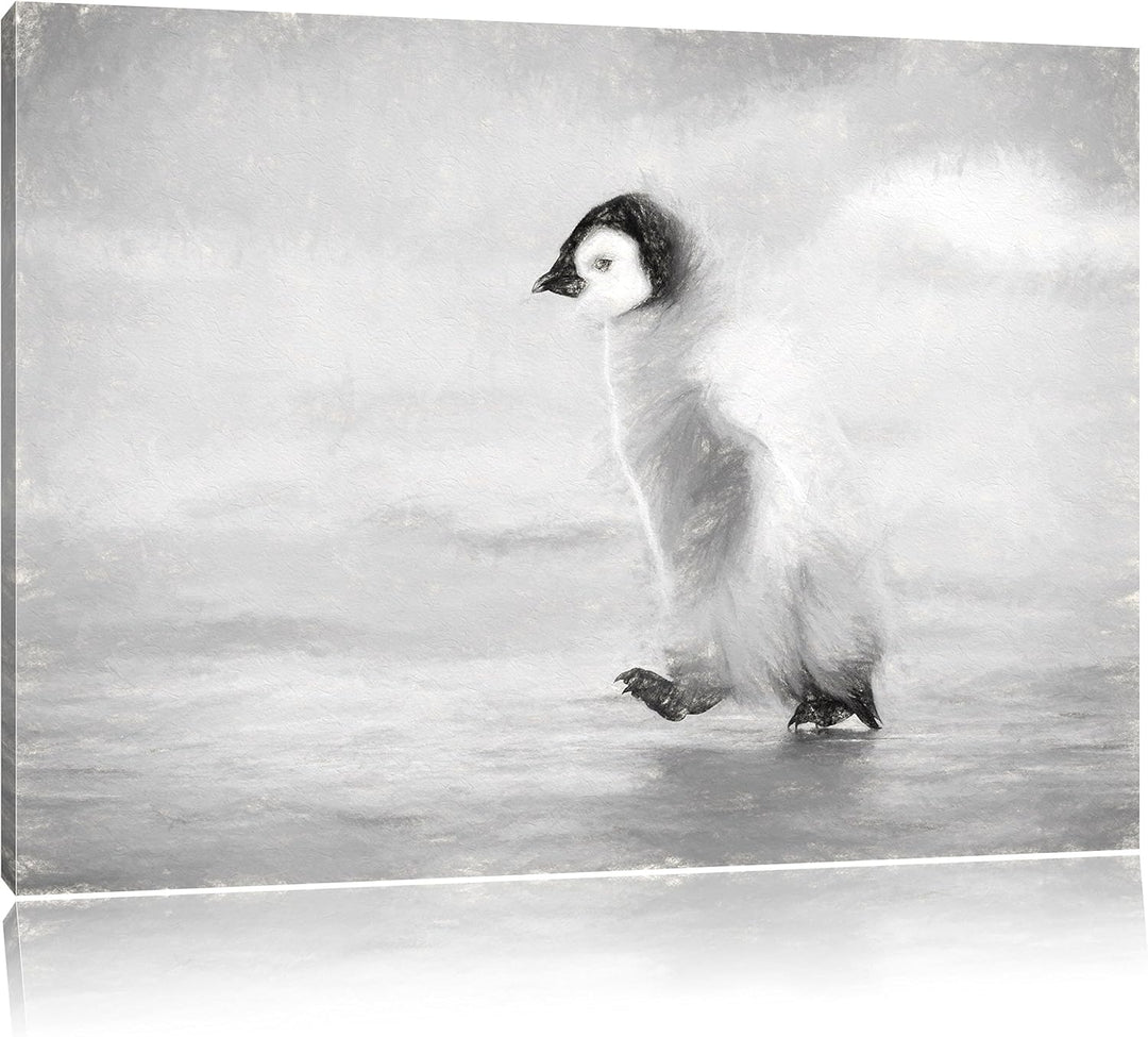 Pixxprint Kaiserpinguinkücken als Leinwandbild/Grösse: 100x70 cm/Wandbild/Kunstdruck/fertig bespannt