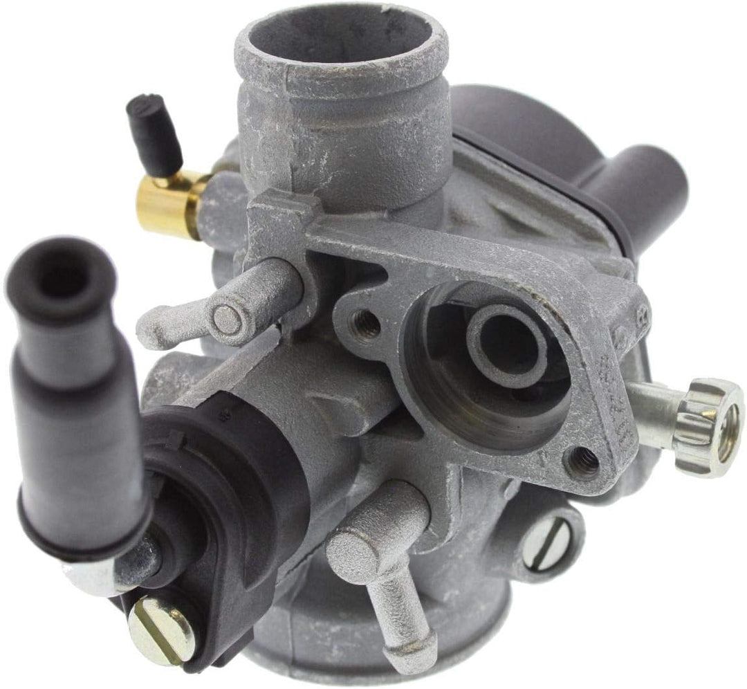 Vergaser Dellorto 17,5mm / PHVA 17,5 ED