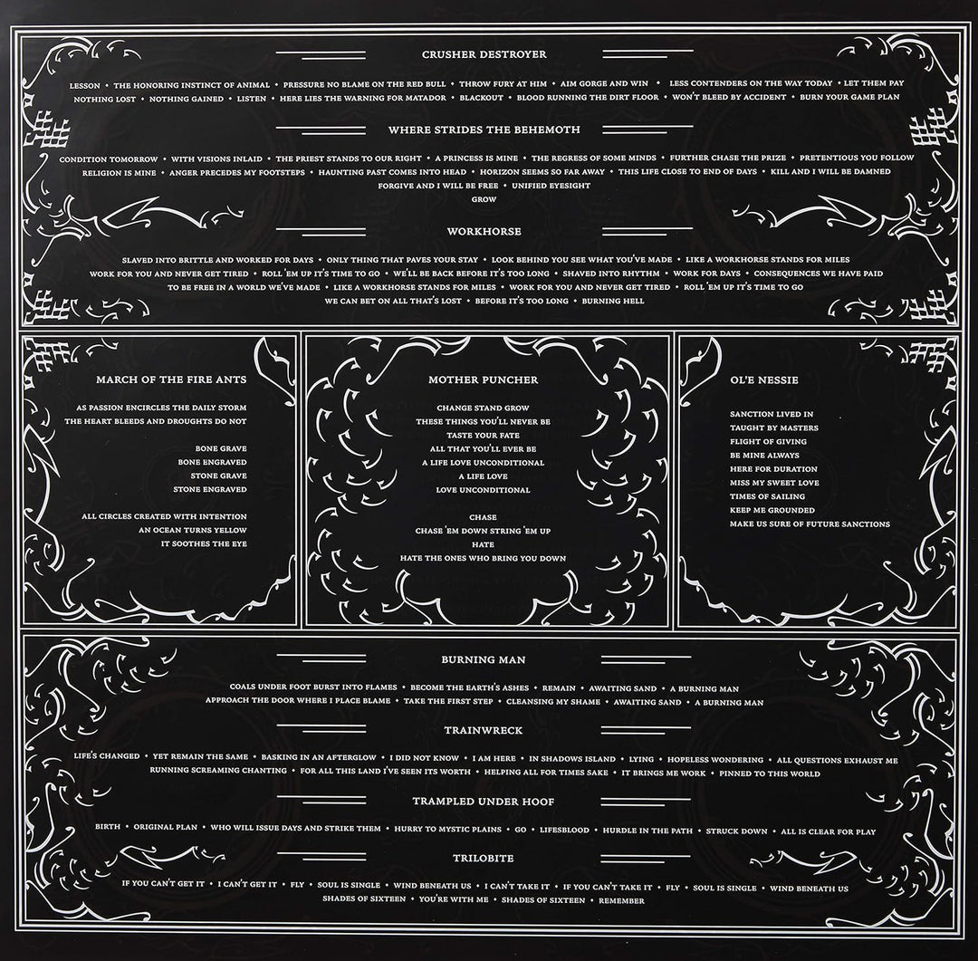 Remission, Vinyl