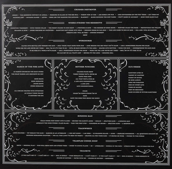 Remission, Vinyl