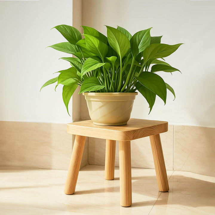 Youyijia Kleiner Holzhocker, Tritthocker für Kinder, Pflanzenständer aus Holz 25×23×21 cm, Beistellt
