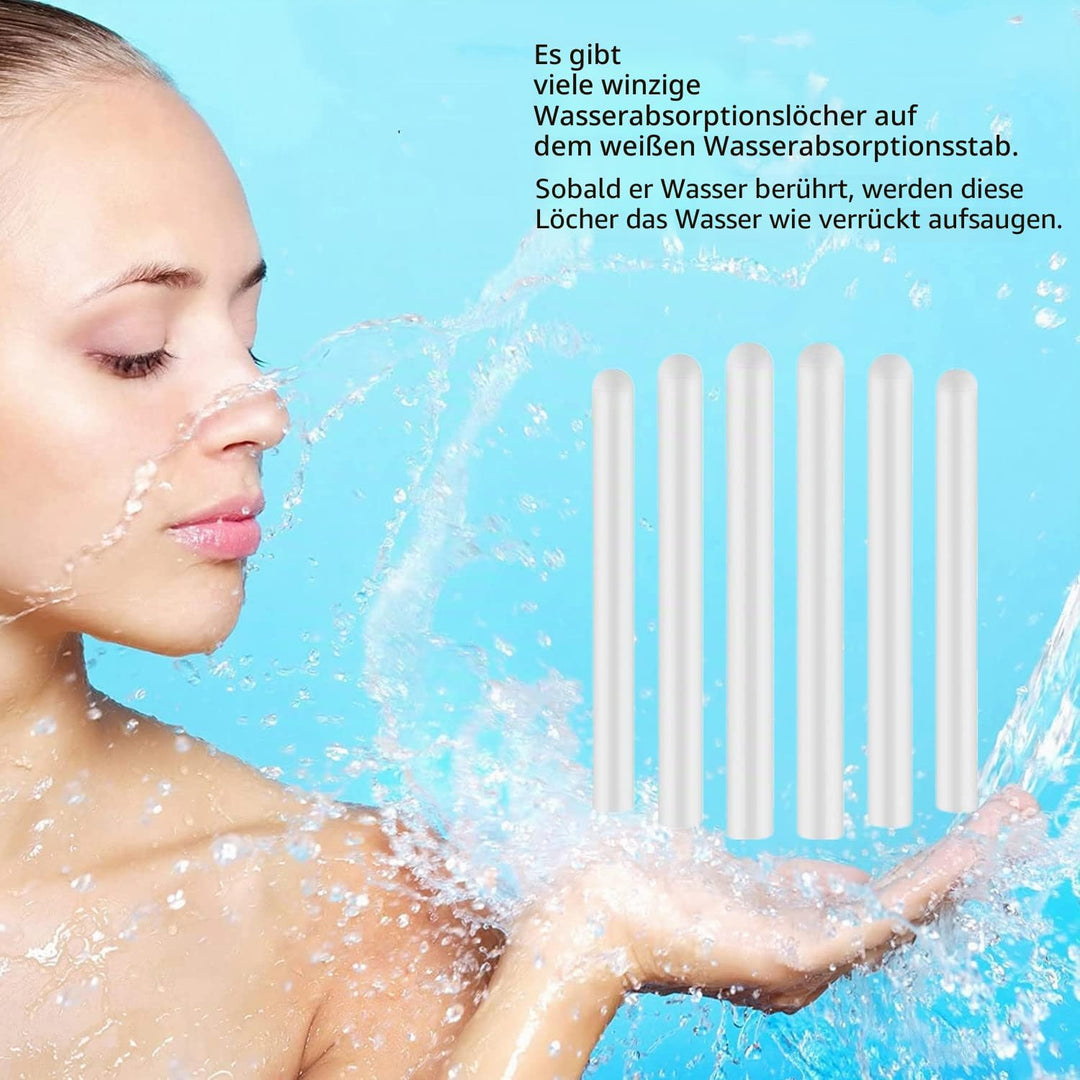 4 Stück Haushaltsreiniger Diatomit feuchtigkeitsabsorbierender Stick Wasseraufnahme Trockenstab Kies