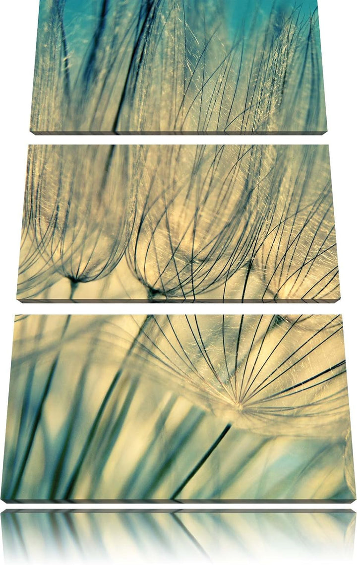 Pixxprint Pusteblumen 3-Teiler Leinwandbild 120x80 Bild auf Leinwand