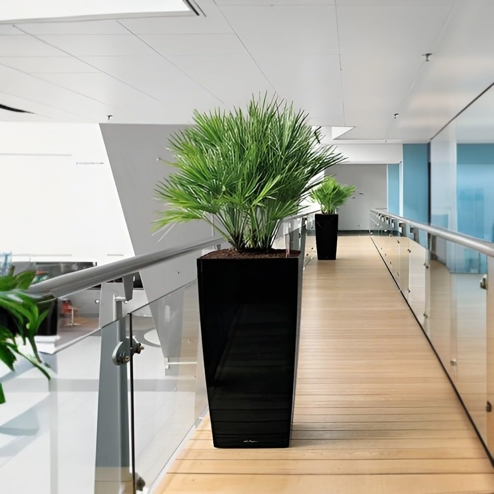 LECHUZA CUBICO Premium 40 schwarz hochglanz 18196 39.5x39.5x75.5 cm Schwarz Hochglanz, 39.5x39.5x75.