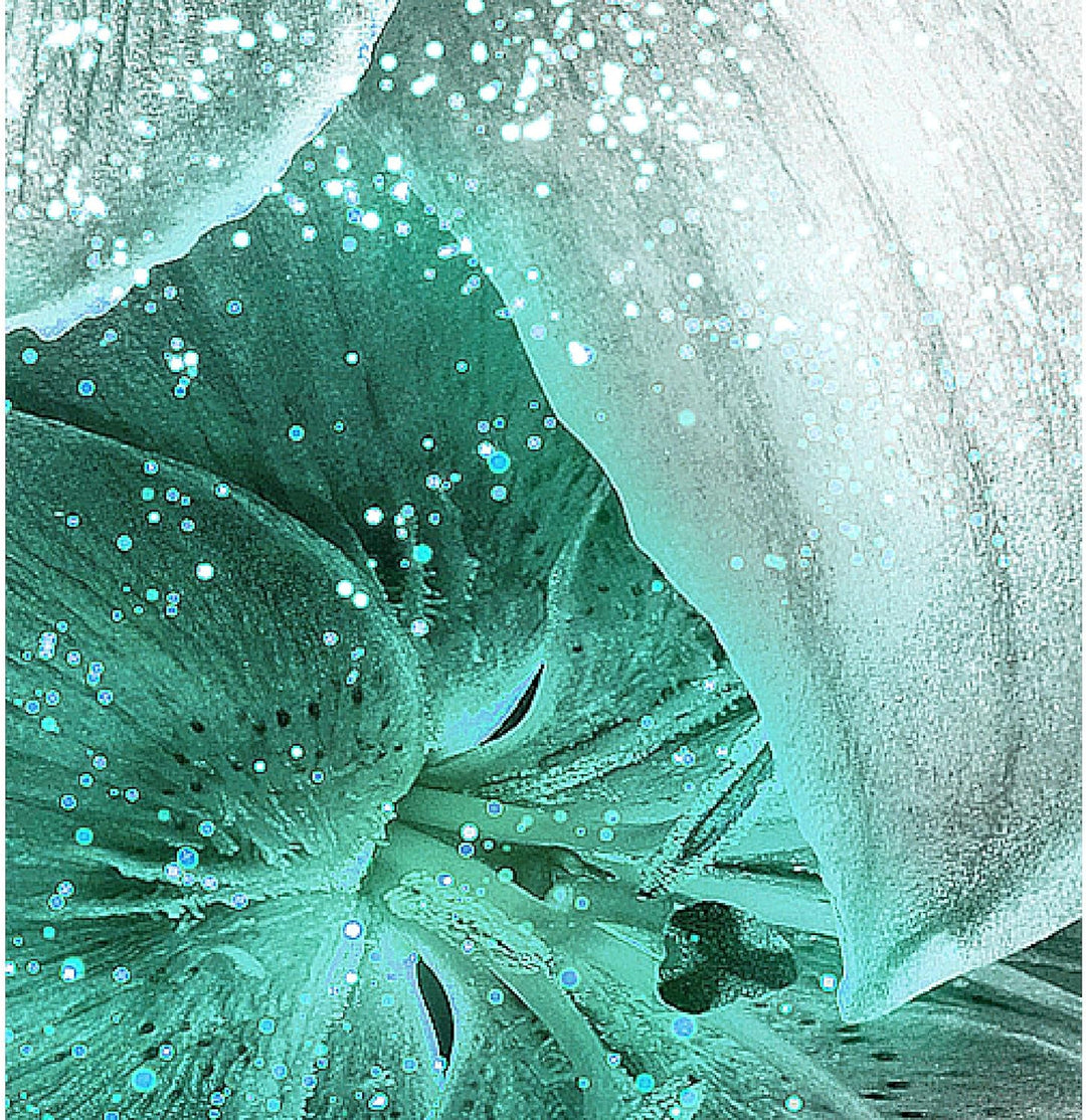 Runa Art Wandbilder Blumen Lilien 5 Teilig Bild auf Vlies Leinwand Deko Wohnzimmer Abstrakt Schwarz