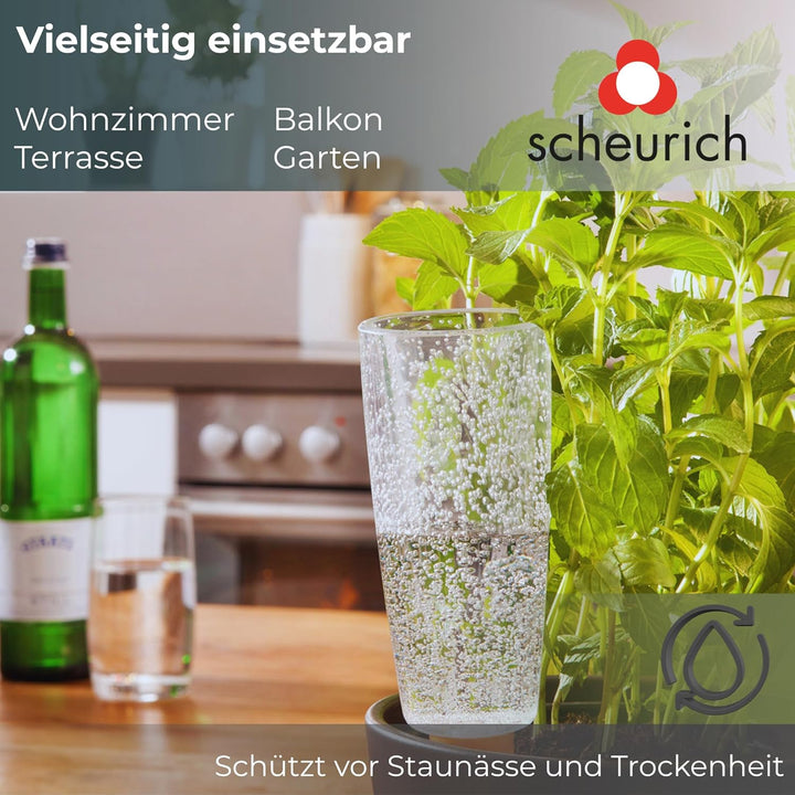 Scheurich Copa XL Bewässerung Wasserspender Bewässerungskugel grün transparent 5, 5