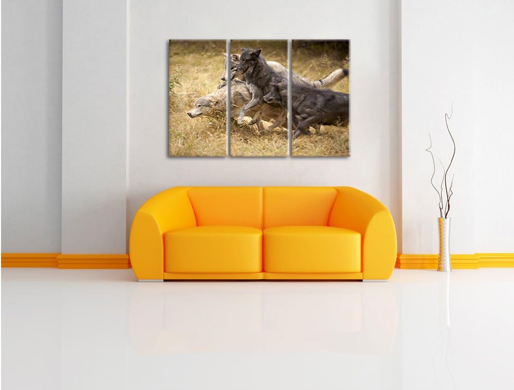 Pixxprint Tobendes Wolfsrudel als Leinwandbild | Grösse: 3 Teilig (120x80) | Wandbild| Kunstdruck |